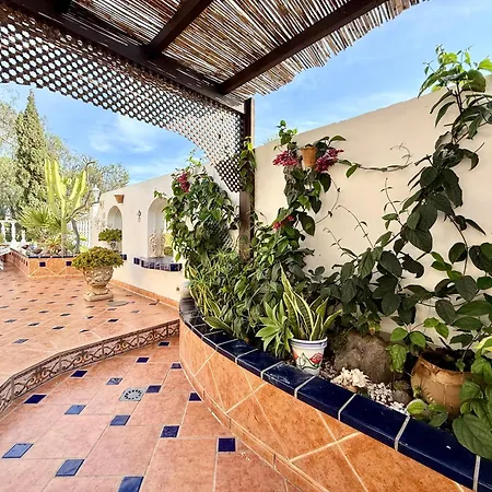 Violetta Villa